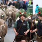 Alptag Mellau 28.jpg