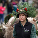 Alptag Mellau 26.jpg