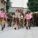 Alptag Mellau 12.jpg