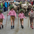 Alptag Mellau 10.jpg