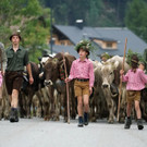 Alptag Mellau 8.jpg
