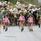 Alptag Mellau 5.jpg
