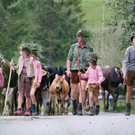 Alptag Mellau 4.jpg