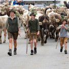 Alptag Mellau 35_1.jpg
