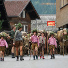Alptag Mellau 13_1.jpg