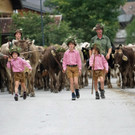 Alptag Mellau 7_1.jpg