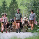 Alptag Mellau 2_1.jpg