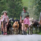 Alptag Mellau 3_1.jpg