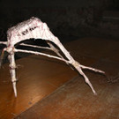 IMG_2293.jpg