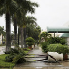 Hurricane_Irma_81482.jpg