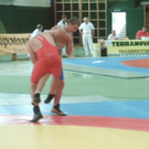 586811.jpg