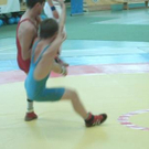 586828.jpg