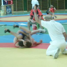586833.jpg