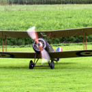 DSC_0209.JPG