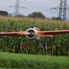 DSC_0246.JPG