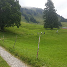 20170908_120955_bearbeitet-1.jpg