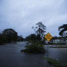 Hurricane_Irma_Florida_21797.jpg