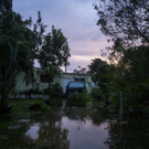 Hurricane_Irma_Florida_66961.jpg