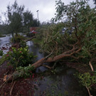 Hurricane_Irma_57084.jpg