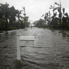 Hurricane_Irma_10717.jpg