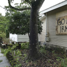 Hurricane_Irma_80043.jpg