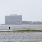 Hurricane_Irma_43251.jpg
