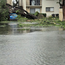 AFP_SB1J6.jpg