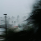 845391576.jpg