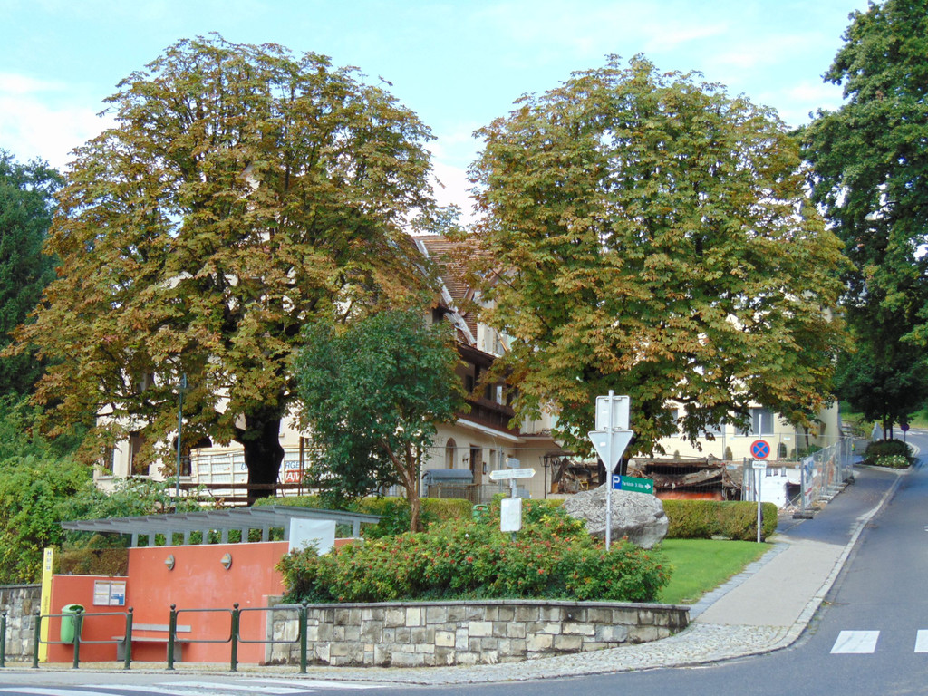 DSC04819.JPG