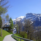 DSC06728.JPG