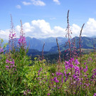 DSC07099.JPG