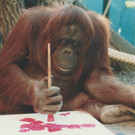 Foto-Ausstellung zeigt 25 Jahre  im Tiergarten Schönbrunn in Wien