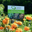 garten1.jpg