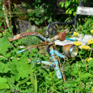 DSC_0018.JPG