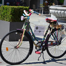 Fahrrad 050517_1.JPG
