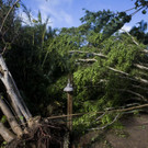 Hurricane_Irma_49702.jpg