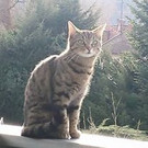 Amy 