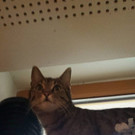 amy 3.jpg