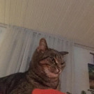 amy4.jpg