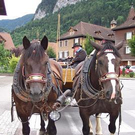 Pensionistenausflug in Götzis