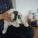 DSCN7138.JPG