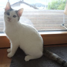 DSCN7144.JPG