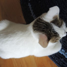 DSCN7145.JPG