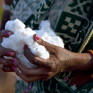 04_anukoo_baumwolle_chetna organic.jpg