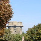 IMG_5584.JPG