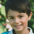 H__mmerle Lukas G__tzis-Blattur.jpg