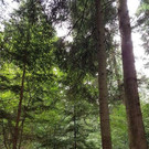 20170913_110049.jpg