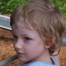 Berger Linus Sulz.jpg