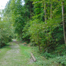DSC04842.JPG