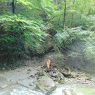 DSC04845.JPG